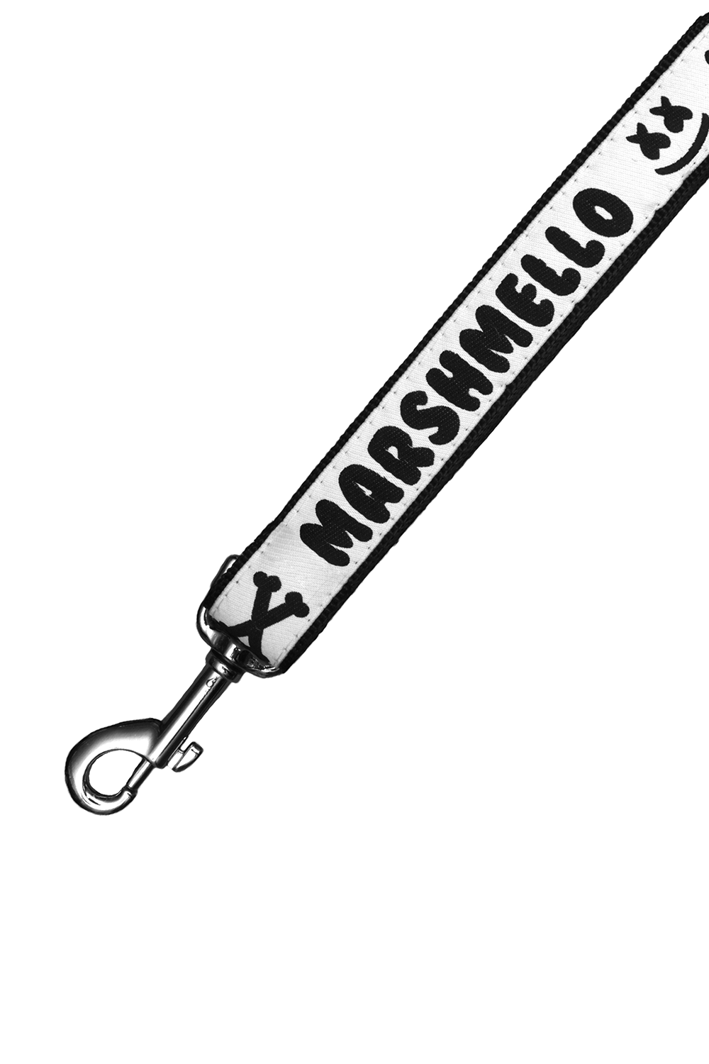 Puppy Division Leash