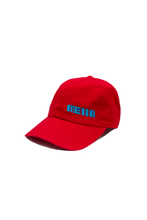 Load image into Gallery viewer, Banking Dad Hat
